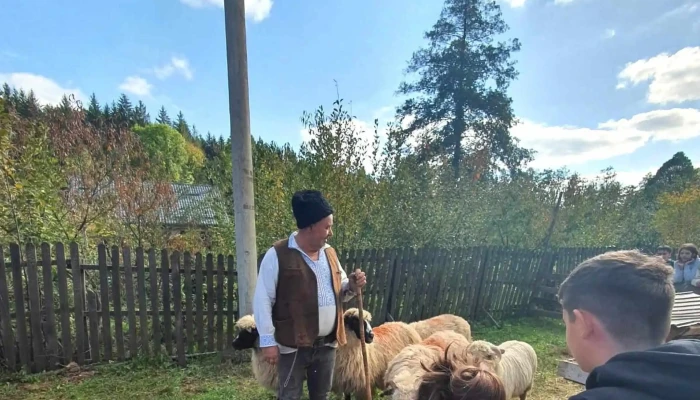 Mesterul Olar Adresă - Păcioiu