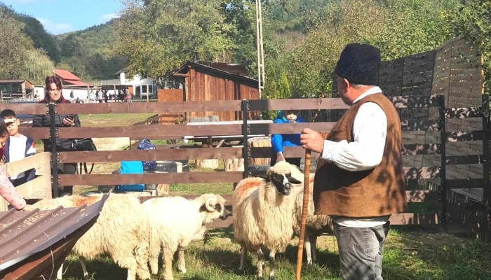 Mesterul Olar Reduceri - Păcioiu
