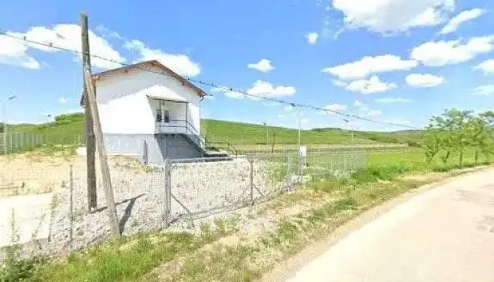 Micestii De Campie H Recenzii - Romania