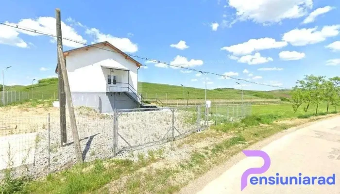 Miceştii de Câmpie h. - Romania