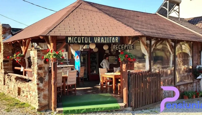 Micutul Vrajitor De La Vizitatori - Arefu