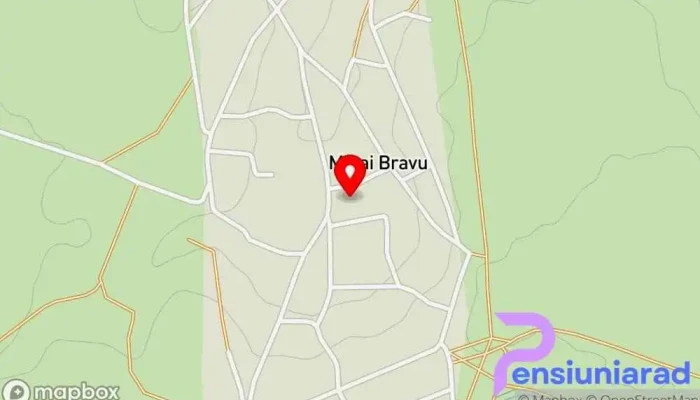 hartă a Mihai Bravu  în Mihai Bravu