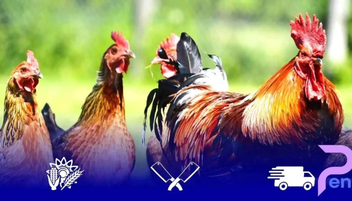 Mihalcenii Deschis Acum - Mihălceni