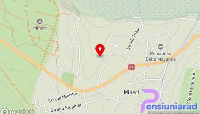 hartă a Mineri  în Mineri