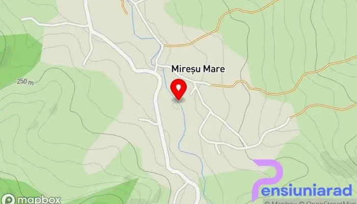 hartă a Mireșu Mare  în Mireșu Mare