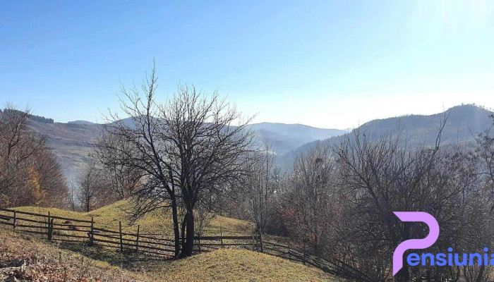 Mireșu Mare - Mireșu Mare