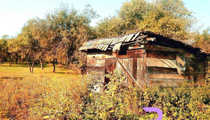 Mirșid - Mirșid