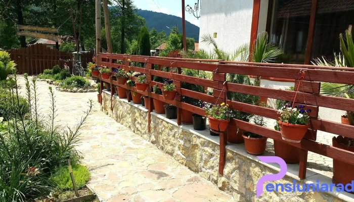 Moara Hucului -  Exterior - Negreni
