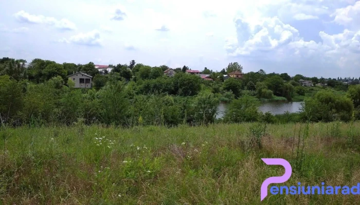 Moara Vlăsiei - Moara Vlăsiei