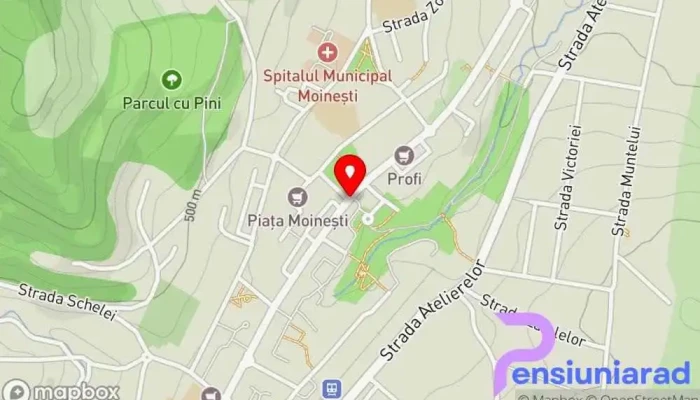 Moinesti Hartă - Moinești