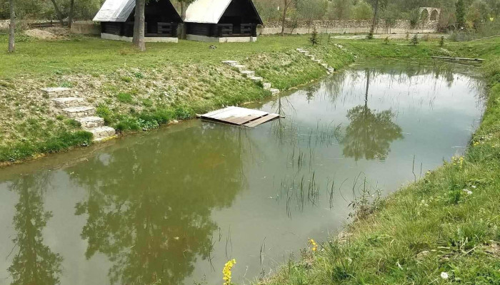 Morosan Petru -  Cabana - Mănăstirea Humorului