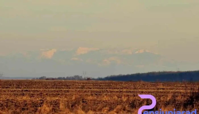 Mozaceni Munte - Mozăceni