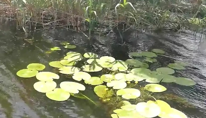 Municipiu Tulcea -  Videoclipuri - Romania