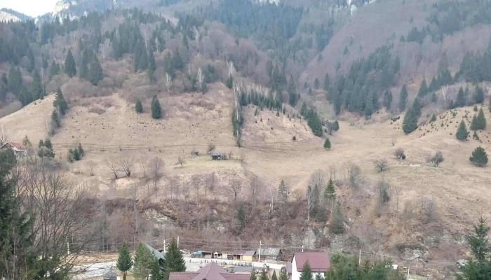 Muntele Verde -  Adresă - Sătic