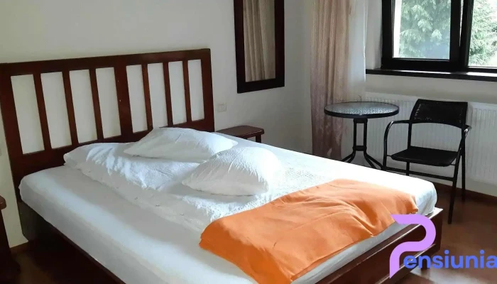 Muntele Verde -  Camere - Sătic