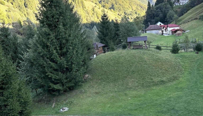 Muntele Verde -  De La Vizitatori - Sătic