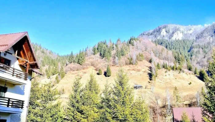 Muntele Verde -  Exterior - Sătic