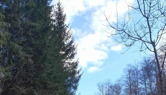 Muntele Verde -  Instagram - Sătic