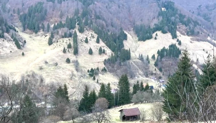 Muntele Verde -  Promoție - Sătic