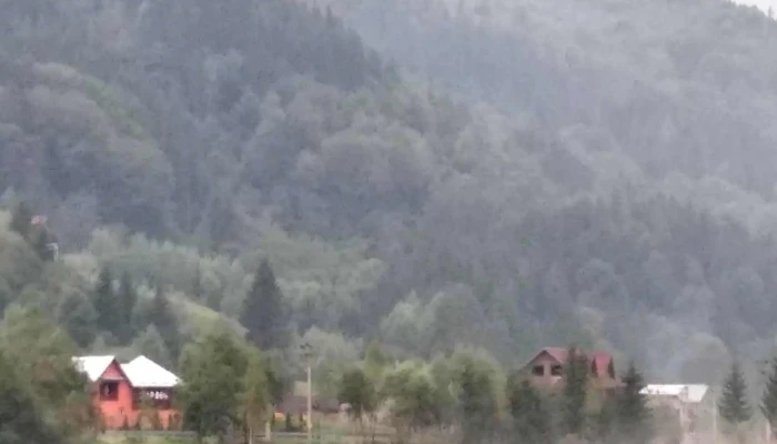 Muntele Verde -  Reduceri - Sătic