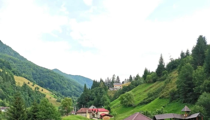 Muntele Verde -  Videoclipuri - Sătic