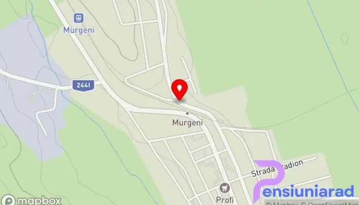 Murgeni -  Hartă - Murgeni