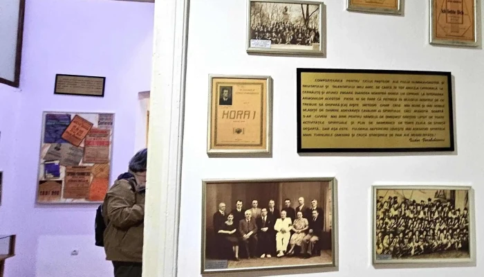 Muzeul Ciprian Porumbescu Reduceri - Ciprian Porumbescu