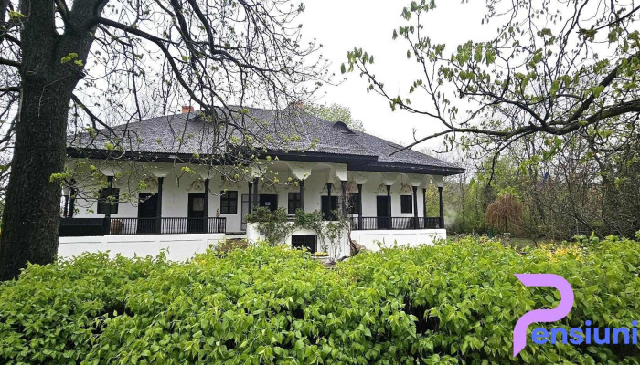 Muzeul Conacului Bellu Cele Mai Recente - Orzoaia De Sus