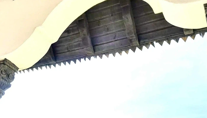 Muzeul Conacului Bellu Reduceri - Orzoaia De Sus