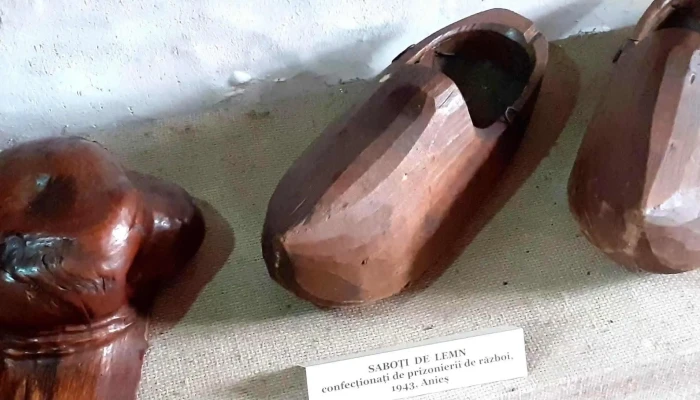 Muzeul Cuibul Visurilor -  Prețuri - Maieru