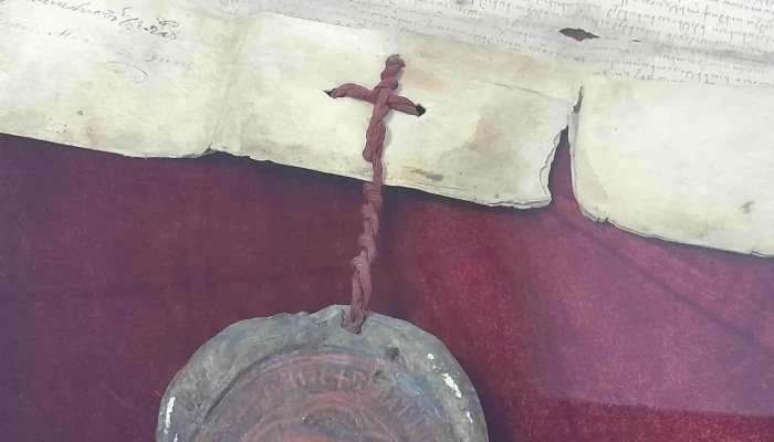 Muzeul Stefan Cel Mare Din Vaslui Promoție - Vaslui