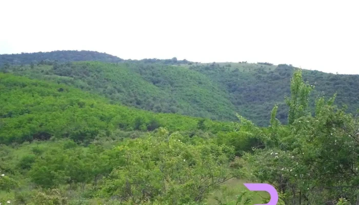 Măderat - Măderat