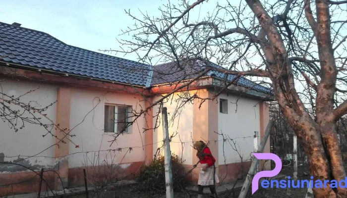 Măgurele Prahova - România