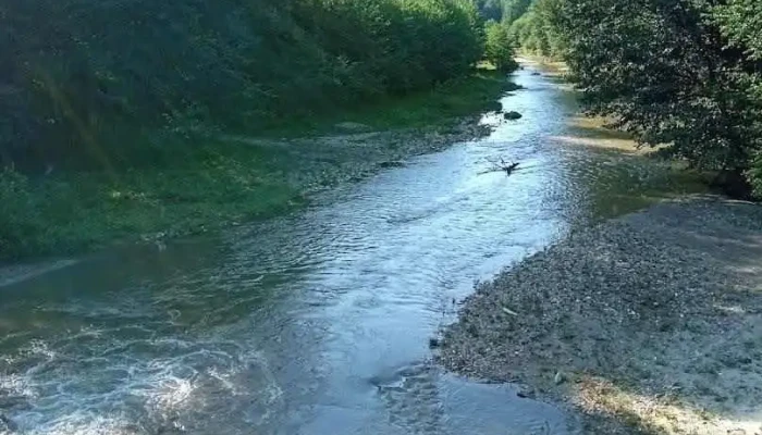 Mălureni - Mălureni