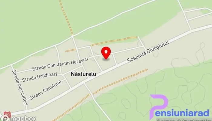 hartă a Năsturelu  în Năsturelu