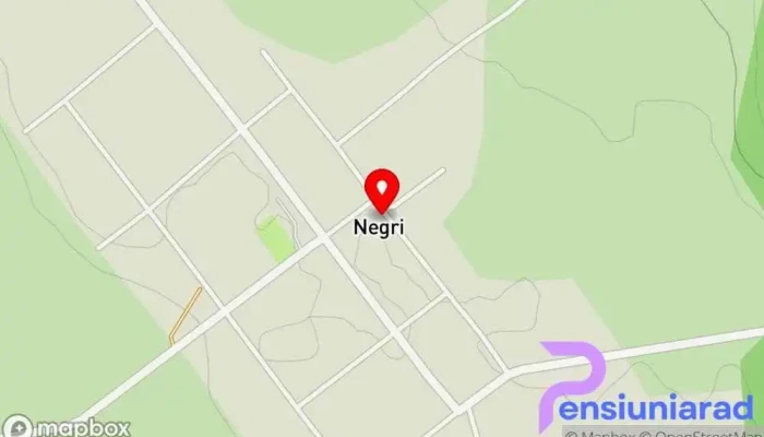 Negri - Negri