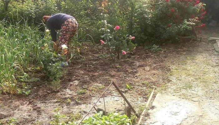 Nenciulesti Deschis Acum - Nenciuleşti