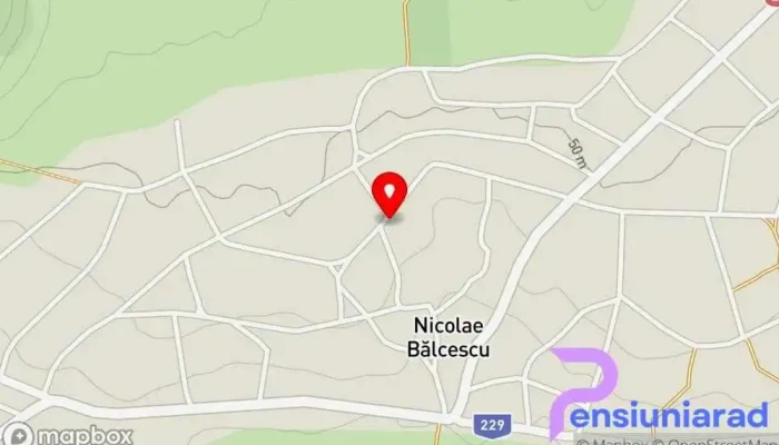 hartă a Nicolae Bălcescu  în Nicolae Bălcescu