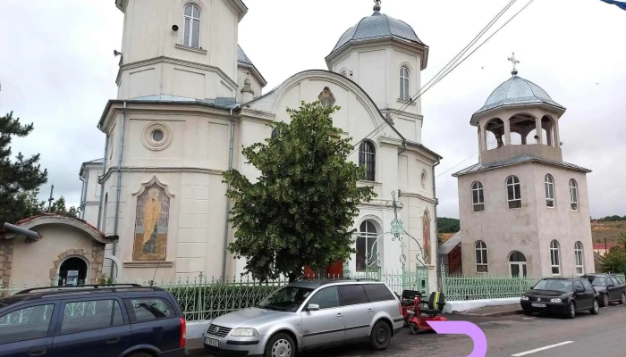 Niculitel Recenzii - Niculițel
