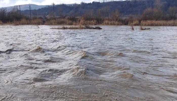 Nimigea De Sus -  Număr - Nimigea De Sus