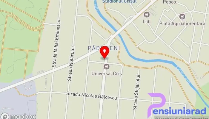 Non Stop Chisineu -  Cris Hartă - Chișineu-criș