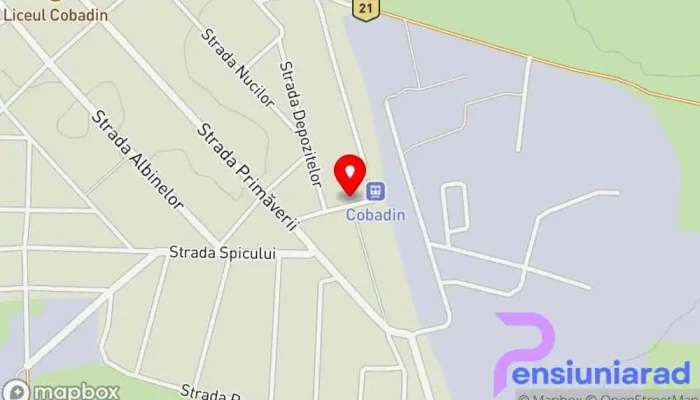 Obor Cobadin -  Hartă - Cobadin