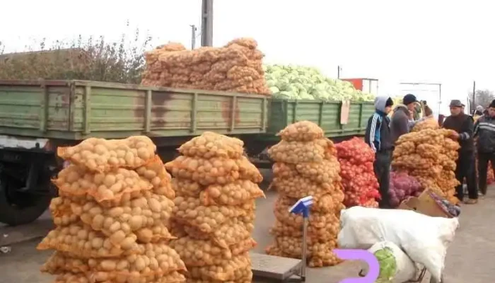 Obor Cobadin -  Zonă - Cobadin