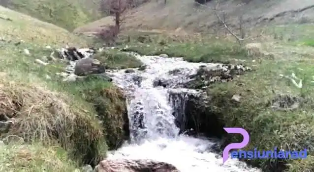 Ocolis Videoclipuri - Ocoliș