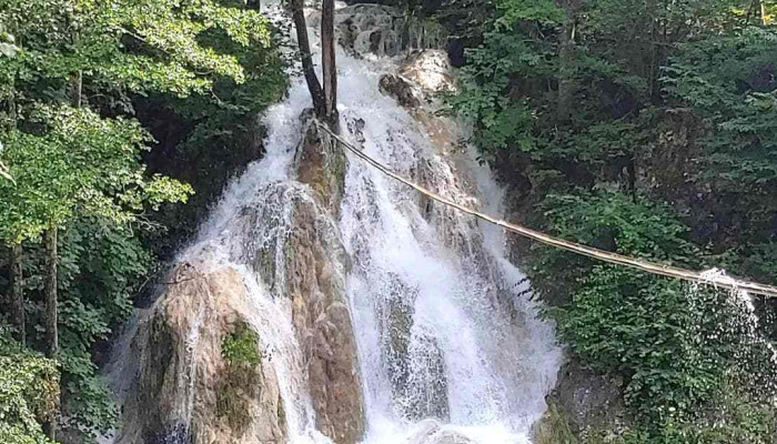 Ocoliș - Ocoliș