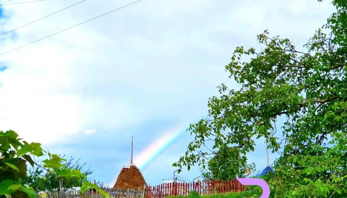 Oestii Pamanteni Instagram - Oeștii Pământeni
