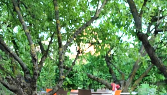 Ograda Urbana Deschis Acum - Ghermănești