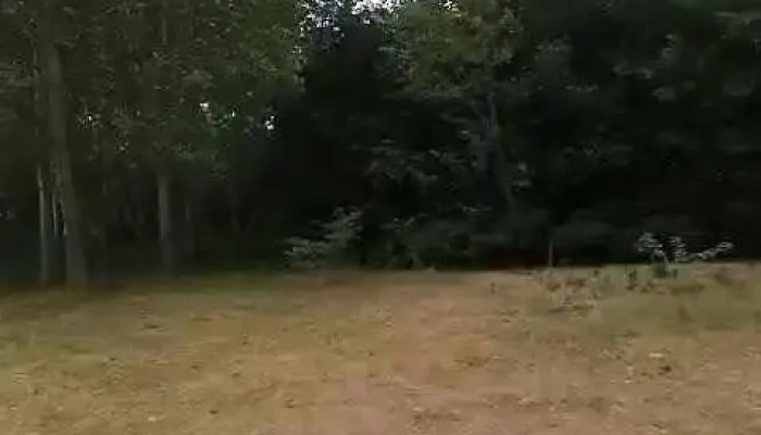 Oltenita Videoclipuri - Oltenița