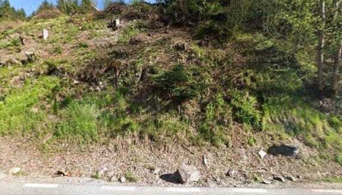Onelia -  Street View Si 360deg - Gârda De Sus