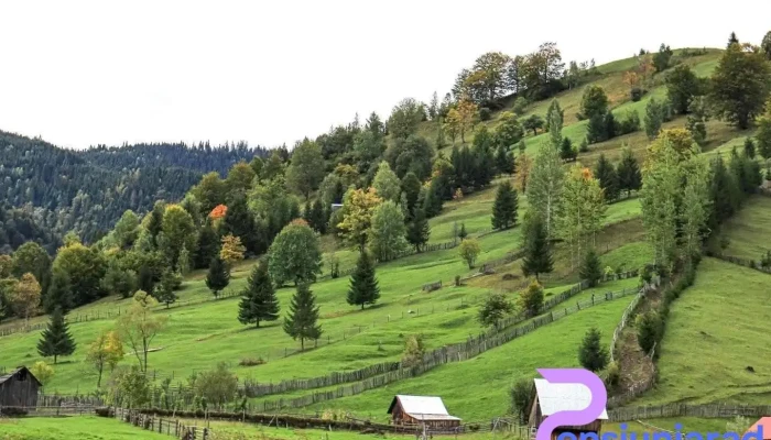 Oras Brosteni Videoclipuri - Romania